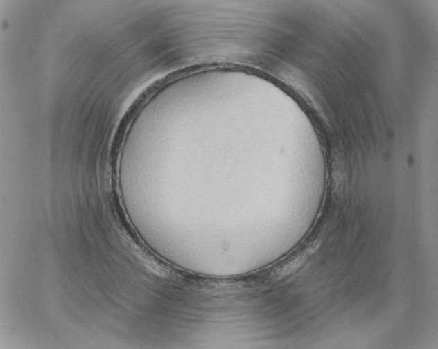 X0000062890924200602031803