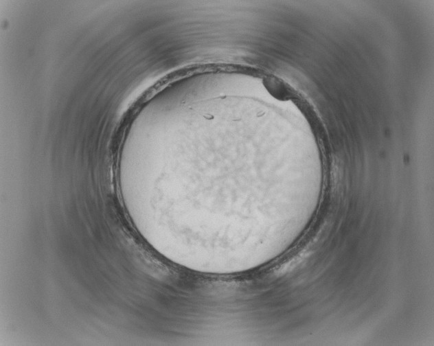 X0000062890925200602031803