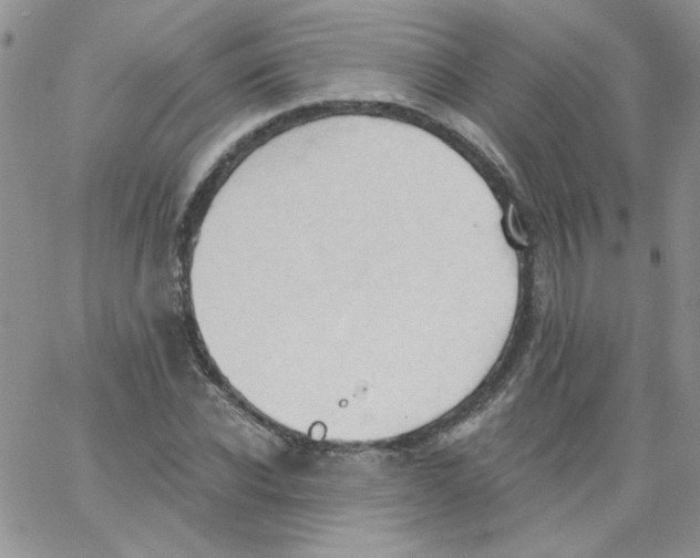 X0000062890926200602031803