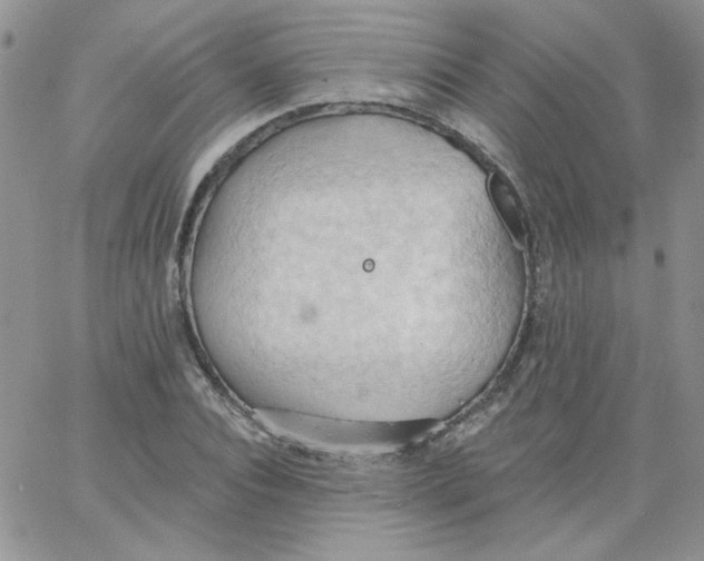 X0000062890928200602031803