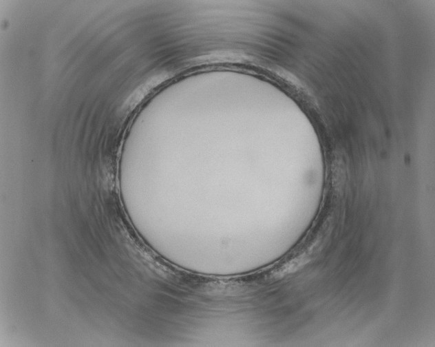 X0000062890929200602031803