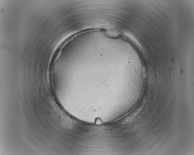 X0000062890932200602031803