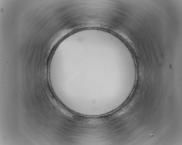 X0000062890933200602031803