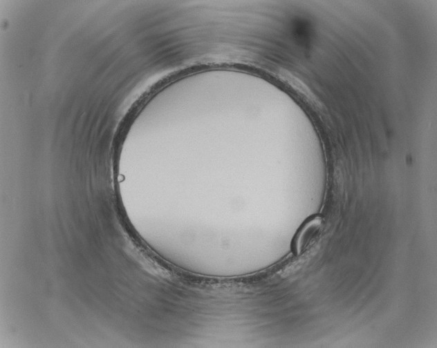 X0000062890934200602031803