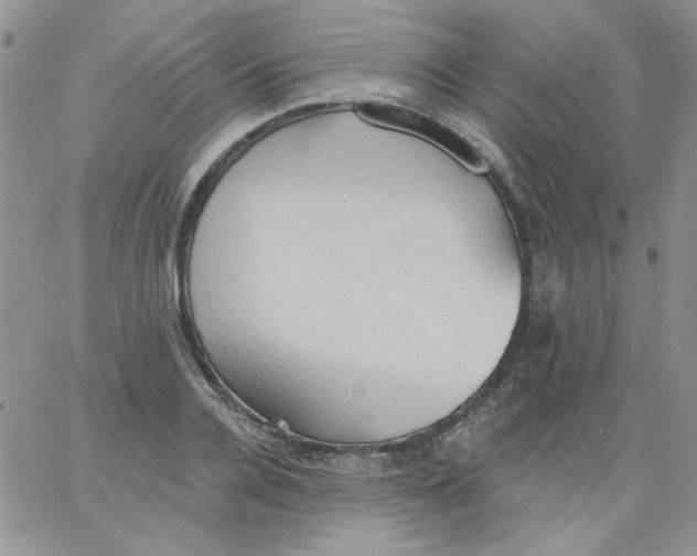 X0000062890936200602031803