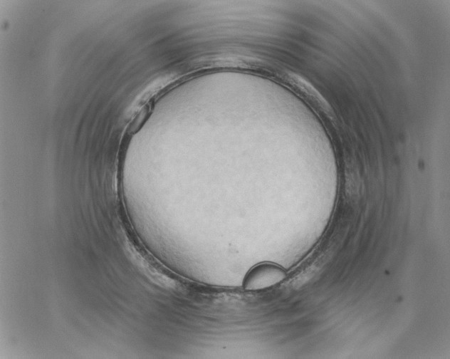 X0000062890938200602031803