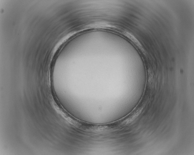 X0000062890939200602031803