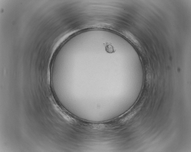 X0000062890940200602031803