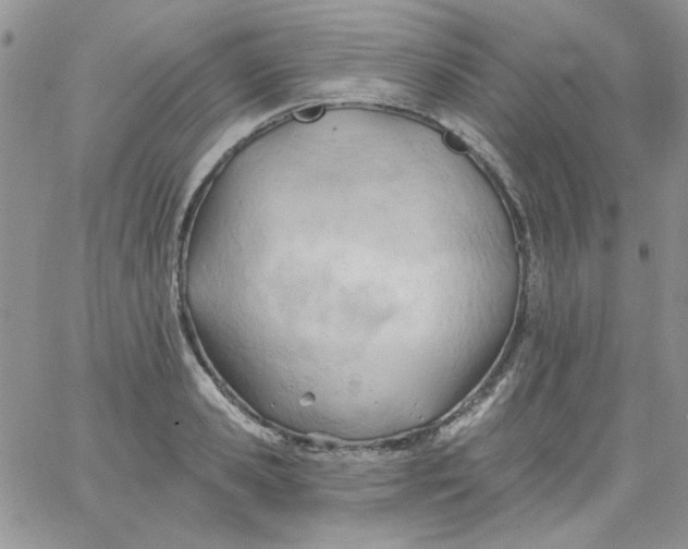 X0000062890941200602031803