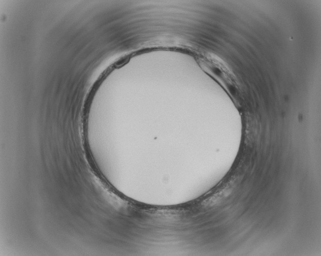 X0000062890942200602031804