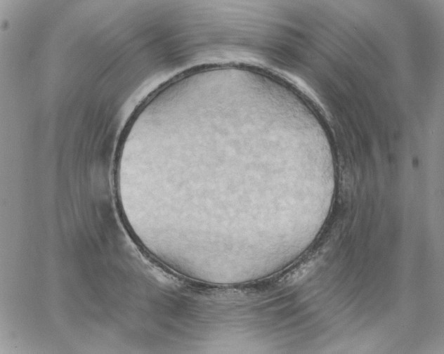 X0000062890943200602031804