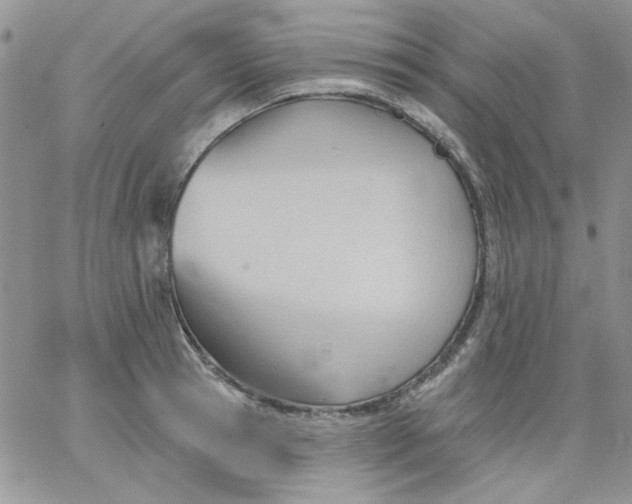 X0000062890945200602031804