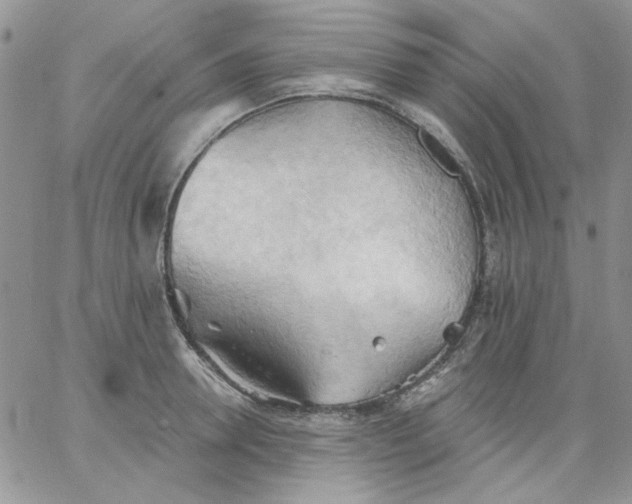 X0000062890946200602031804