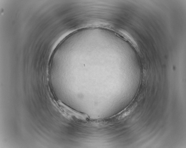 X0000062890948200602031804