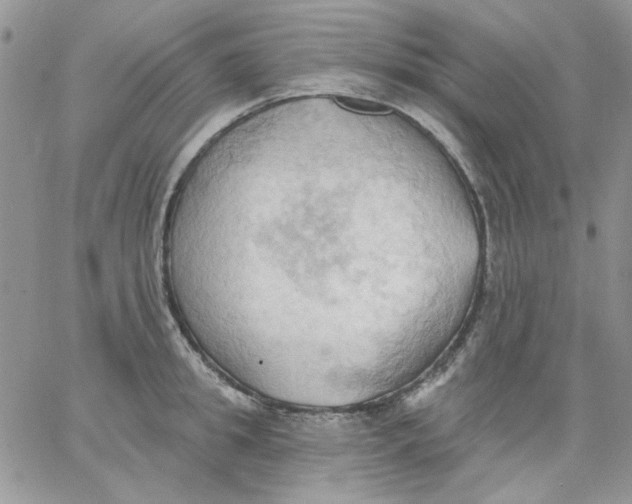 X0000062890949200602031804