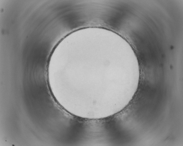 X0000062890950200602031804