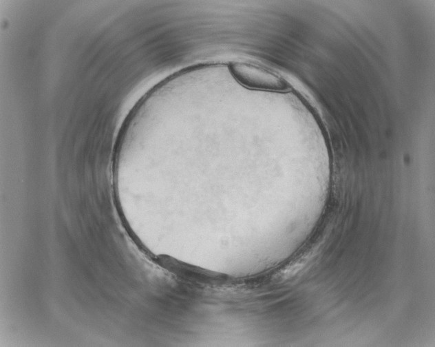 X0000062890951200602031804