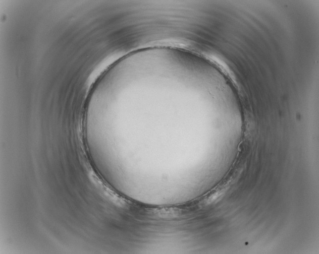 X0000062890952200602031804