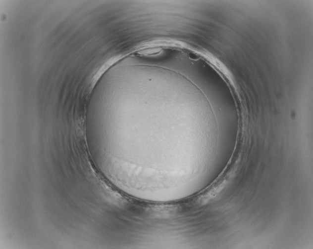 X0000062890953200602031804