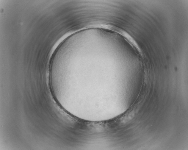 X0000062890955200602031804