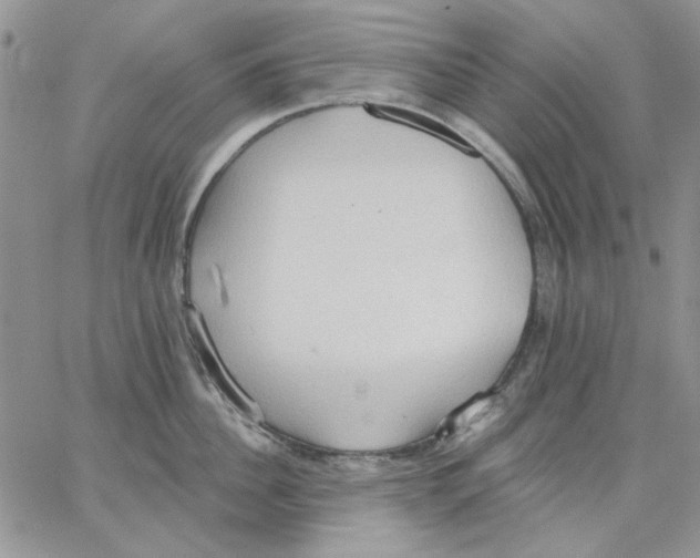 X0000062890956200602031804