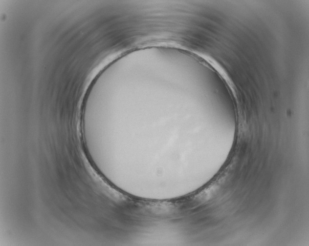 X0000062890957200602031804