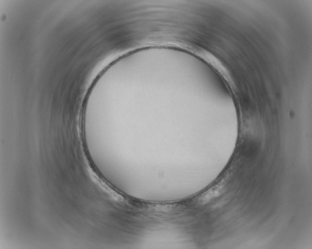 X0000062890958200602031804