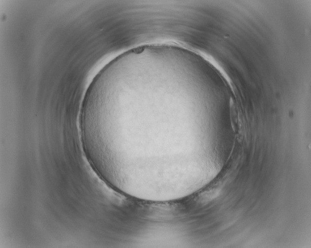 X0000062890959200602031804