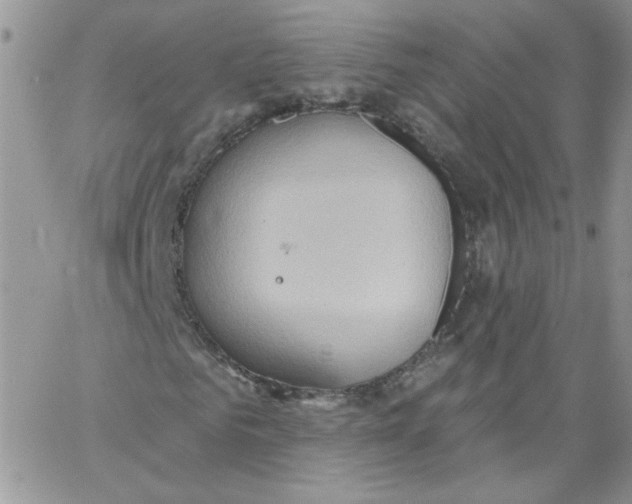 X0000062890961200602031803