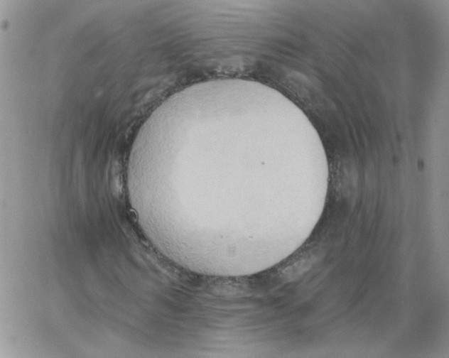 X0000062890962200602031803