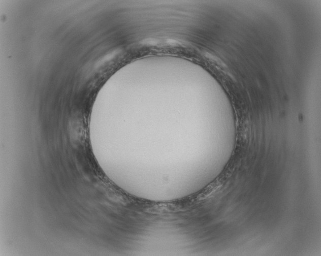 X0000062890966200602031803