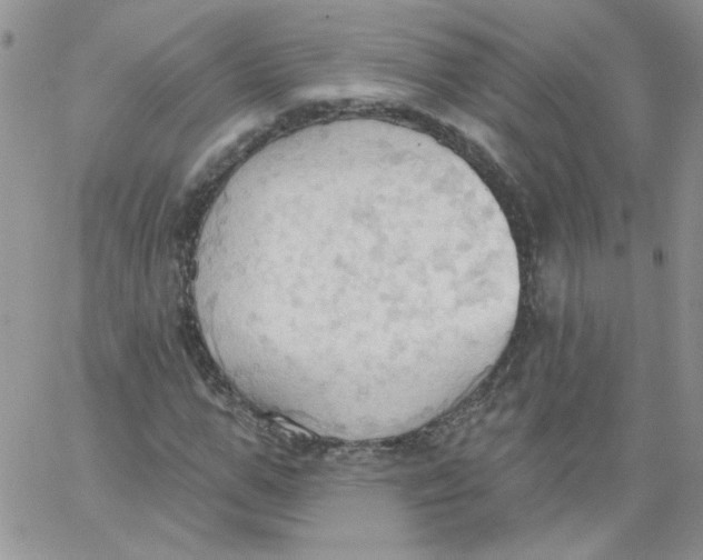 X0000062890967200602031803