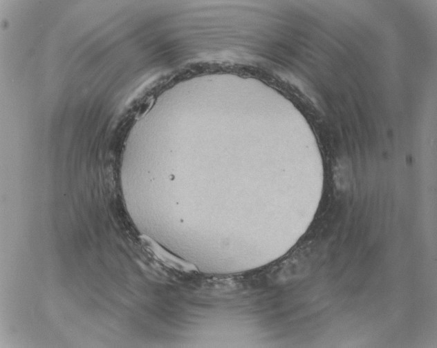 X0000062890968200602031803