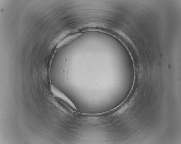 X0000062890969200602031803