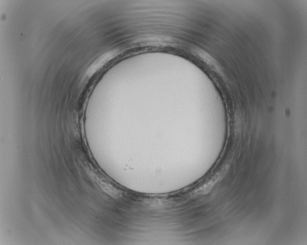 X0000062890970200602031803