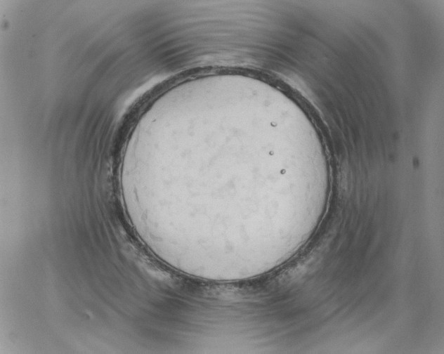 X0000062890971200602031803