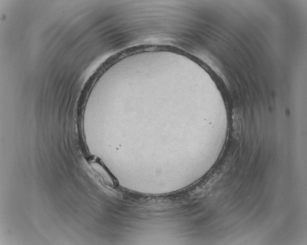 X0000062890972200602031803