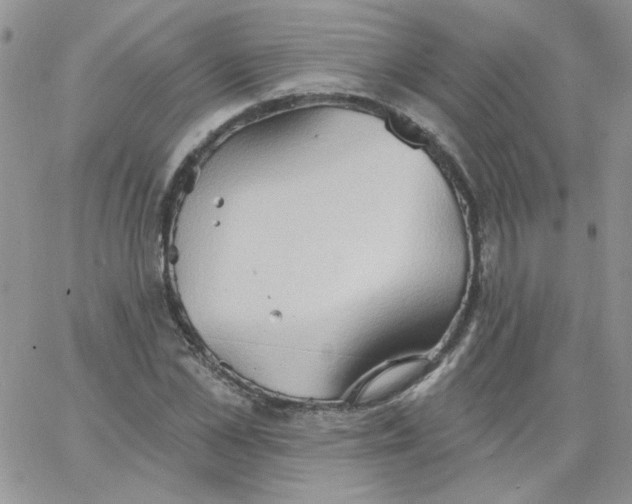 X0000062890973200602031803