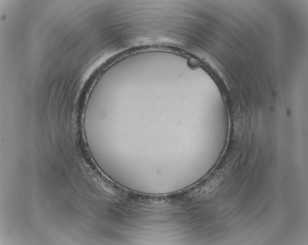 X0000062890975200602031803