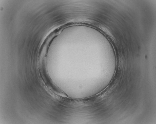 X0000062890976200602031803