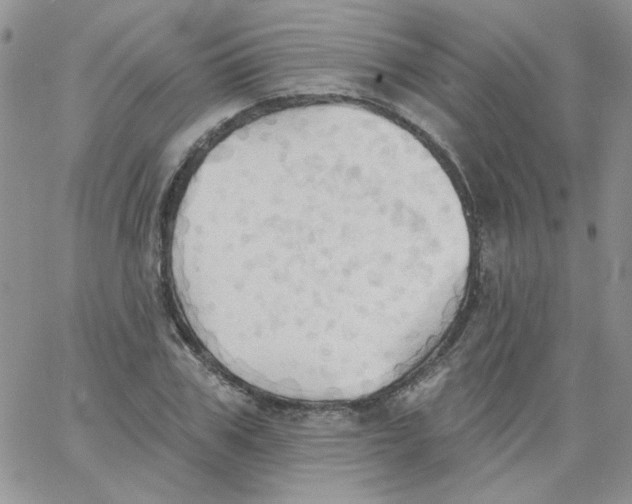 X0000062890979200602031803