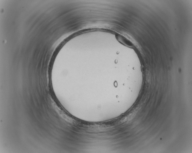 X0000062890980200602031803