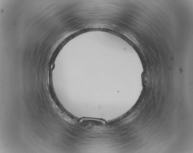 X0000062890984200602031803