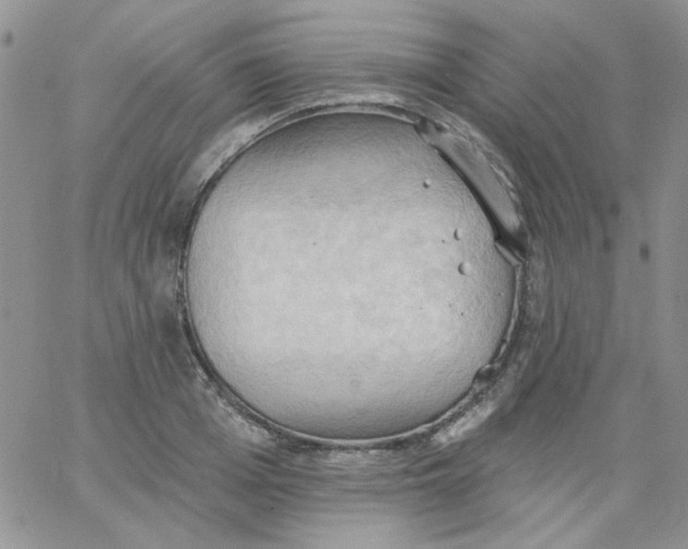 X0000062890985200602031803