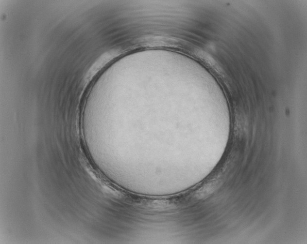 X0000062890986200602031803