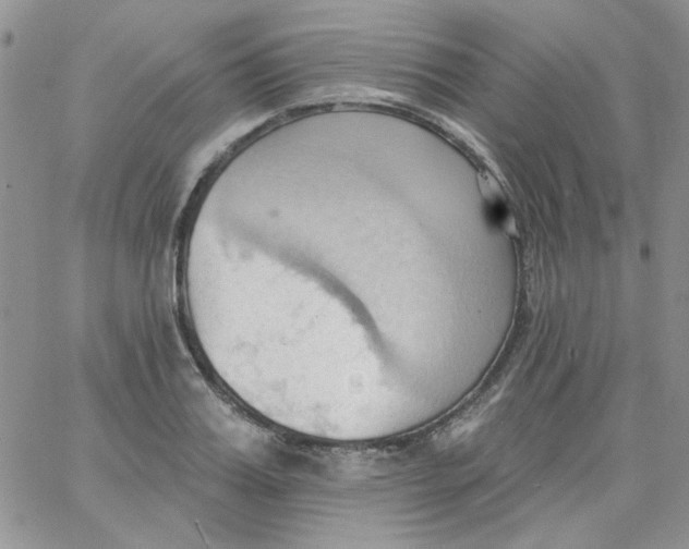 X0000062890987200602031803