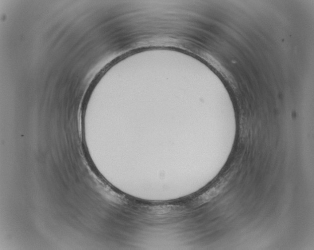 X0000062890988200602031803