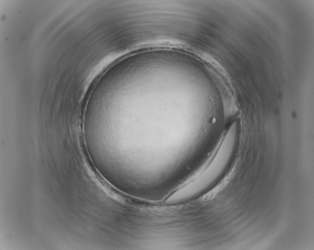 X0000062890989200602031803