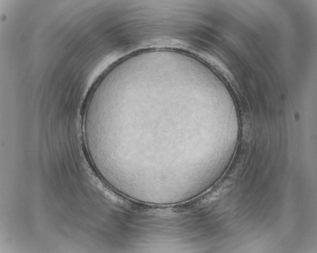 X0000062890990200602031803