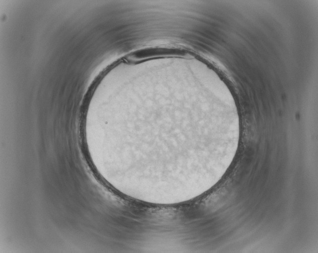 X0000062890991200602031803